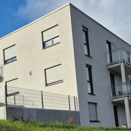 Apartments Seibel Doppel-Zweibettzimmer Mit Bad Reutlingen Eksteriør billede